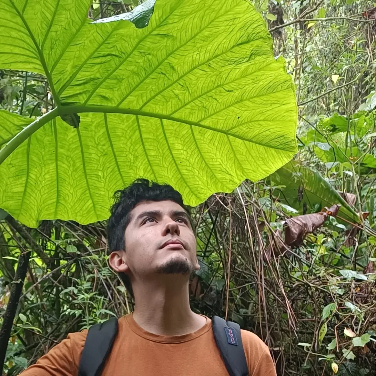 Eddy Cedeño Software Engineer in a forest
